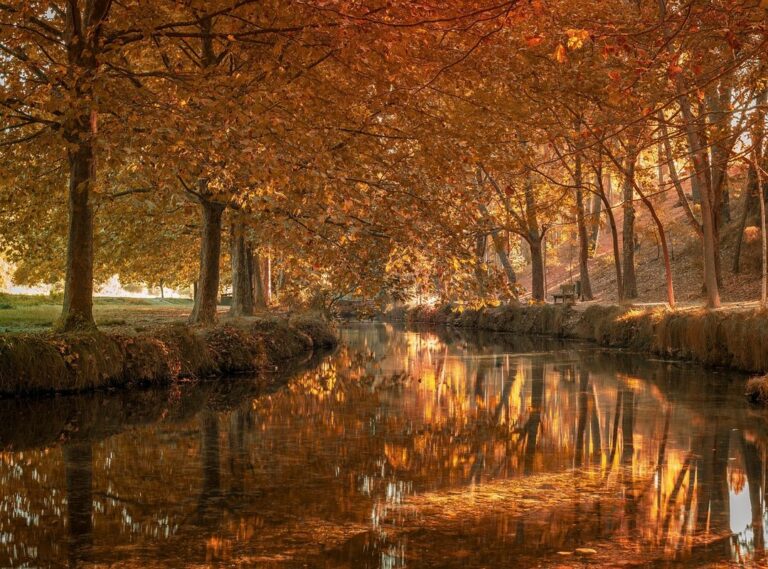 dibujos de nezuko kawaii