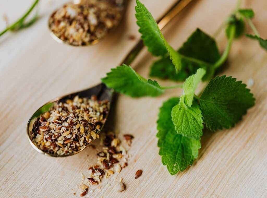 herb protein matches