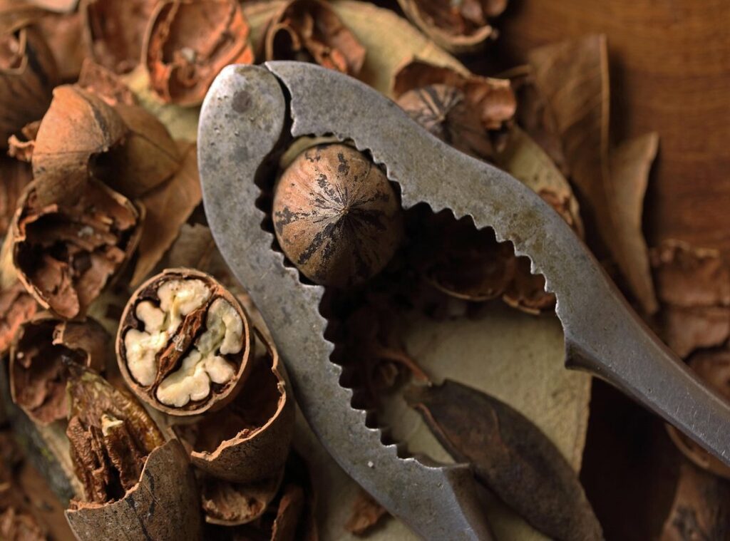 salad nut pairings