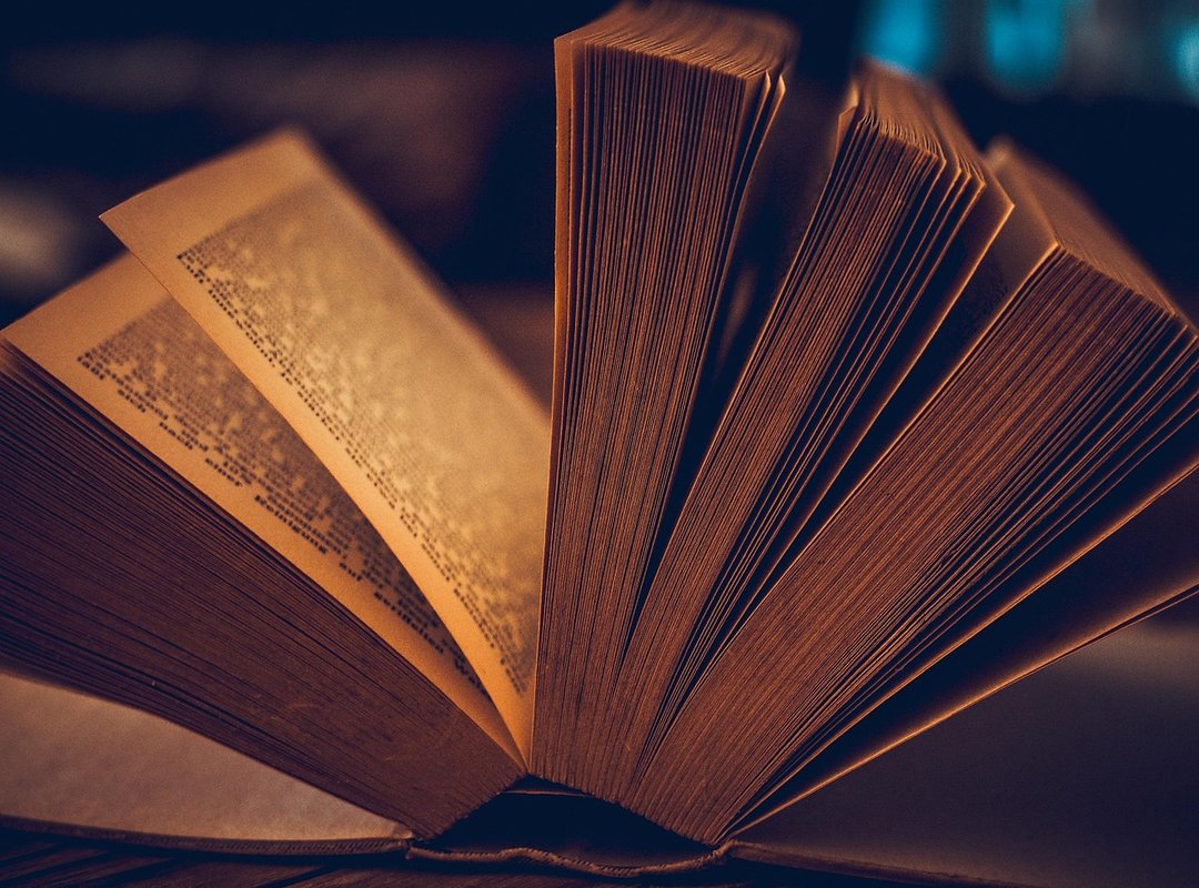 Common Narrative Functions and Storytelling Roles