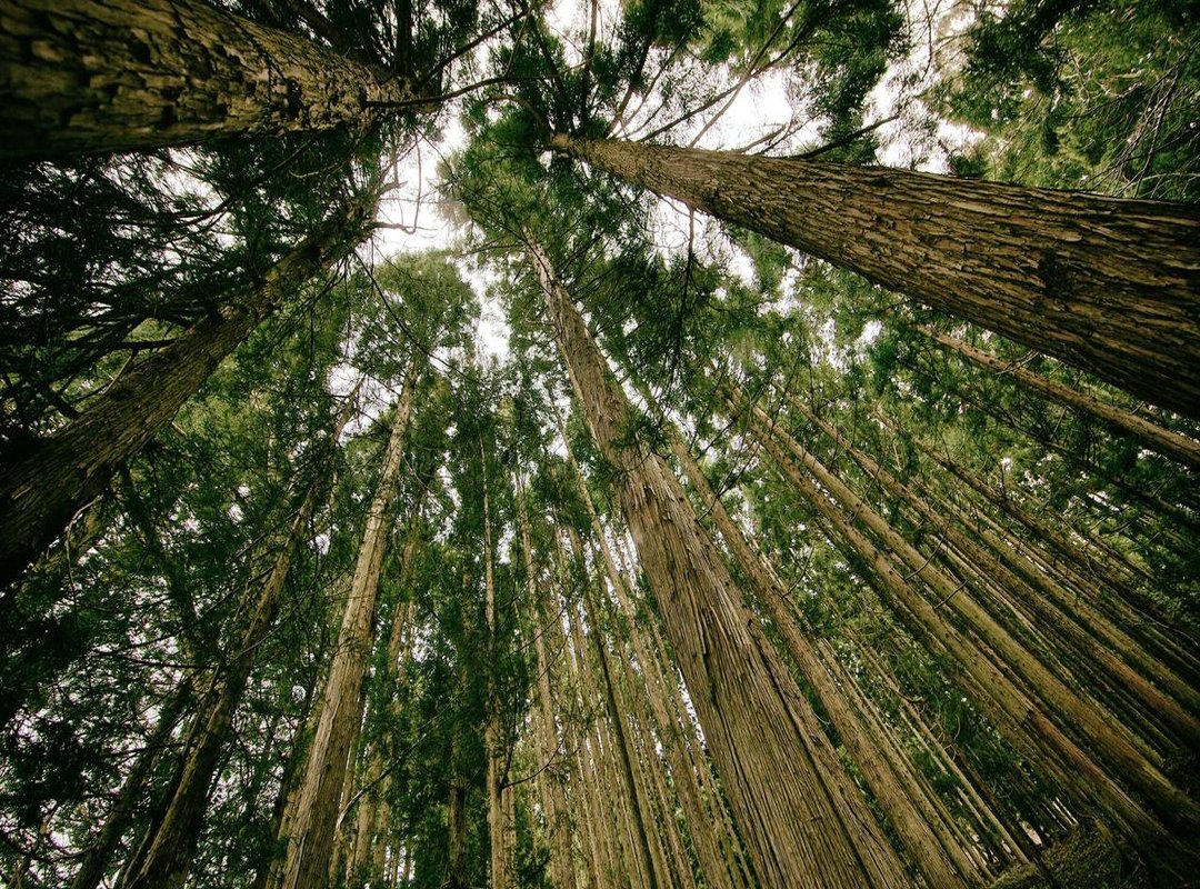 The Heart of Contentment: Embracing Gratitude and Humility