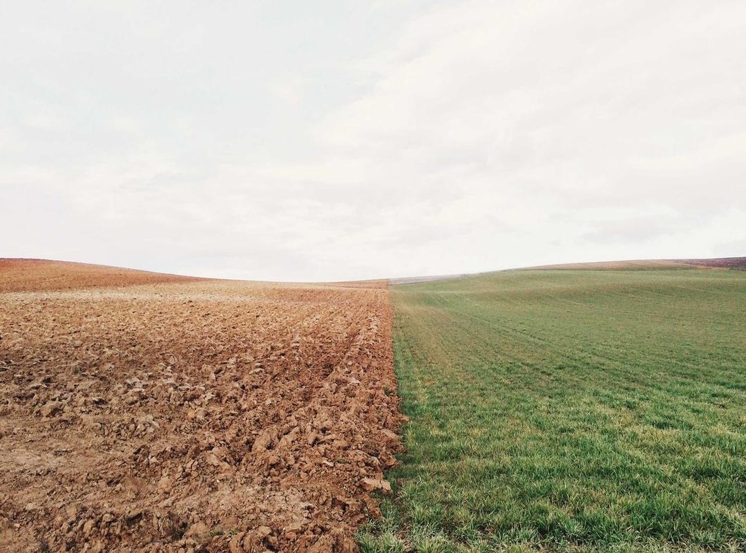 The Golden Rule: Using GIFs Without Overwhelming Your Story
